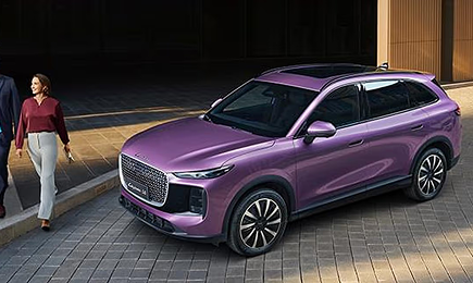 Lepas L8 — Exterior